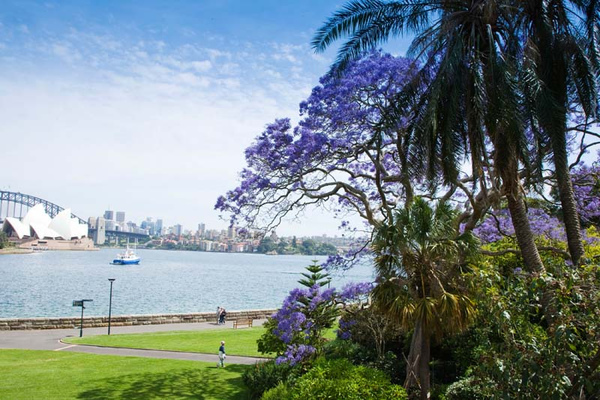 Royal Botanic Gardens Sydney Nsw Climatewatch Australia Citizen Science App