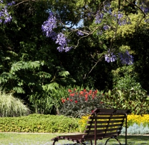 Royal Botanic Gardens Cranbourne, VIC