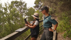 Earthwatch and Parks Victoria monitoring plants along the Cape Conran Nature Trail 