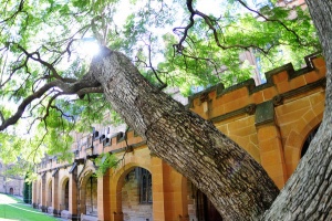 University of Sydney, NSW