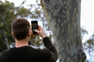 Blue Bottle - ClimateWatch Australia- Citizen Science App