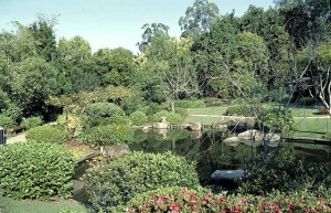 Brisbane Botanic Gardens, Mount Coot-tha, QLD